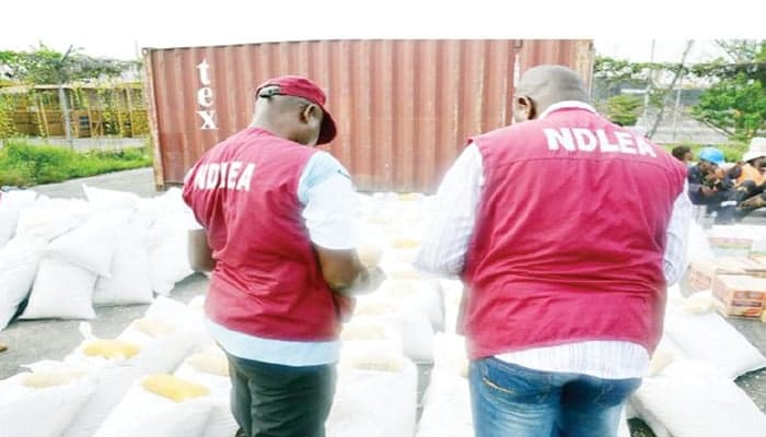 NDLEA arrests two suspected traffickers, seizes 763kg skunk cannabis in Edo