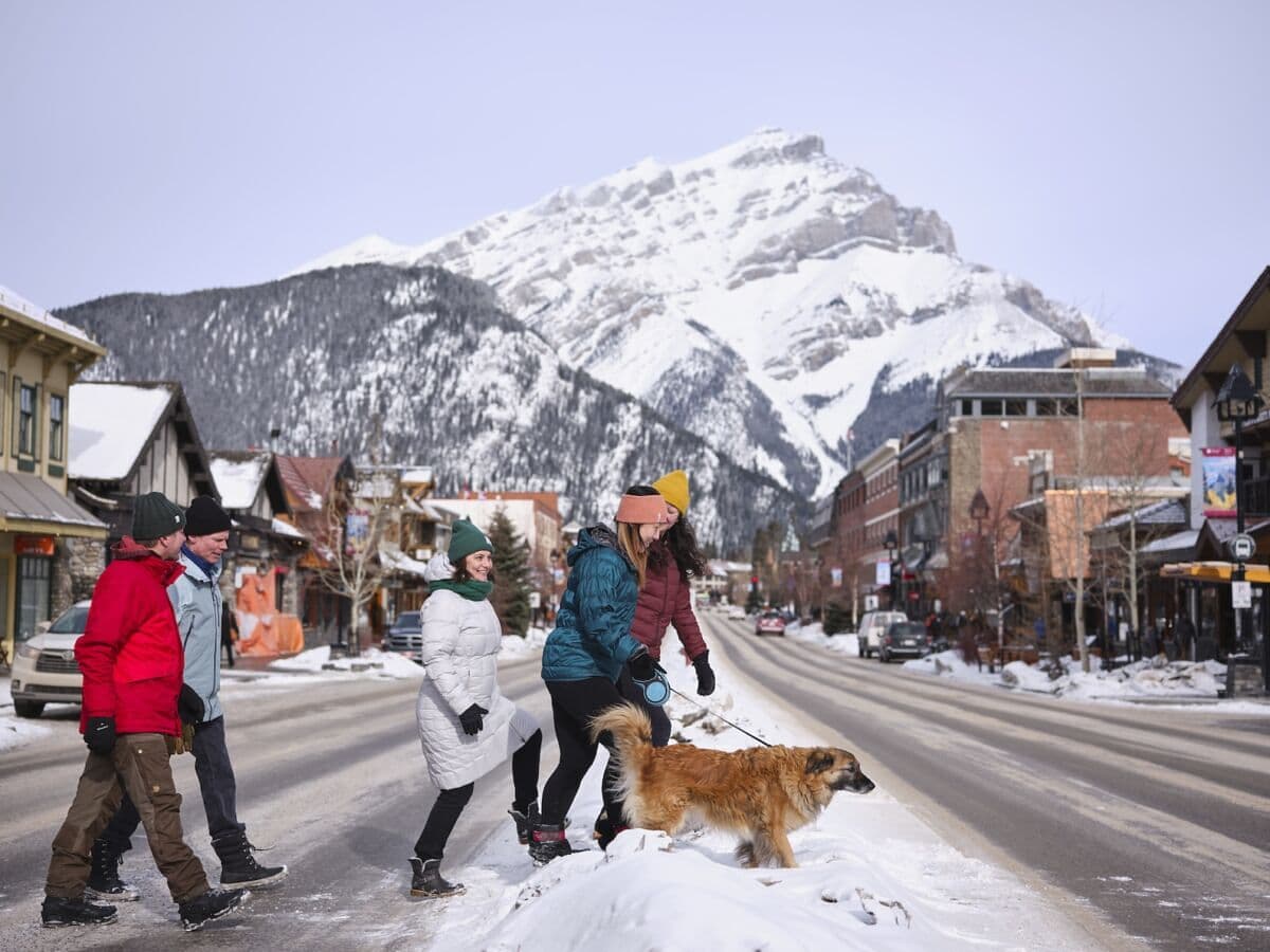 The Best Dog-Friendly Destinations of 2026: Banff National Park