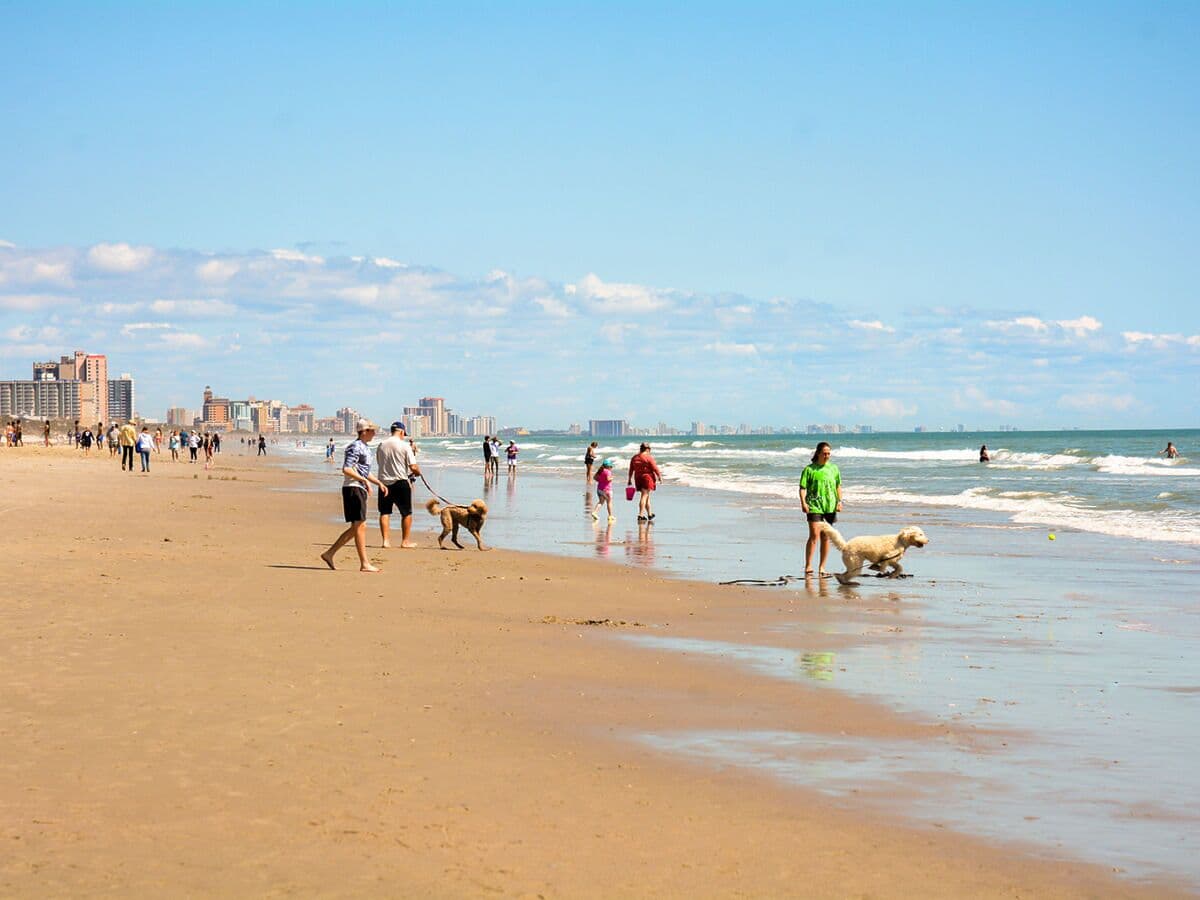 The Best Dog-Friendly Destinations of 2026: Myrtle Beach, South Carolina