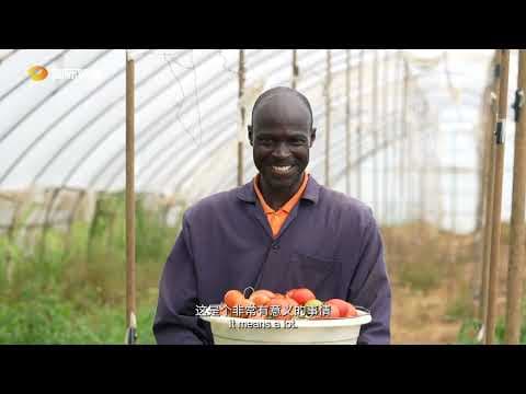 Zoomlion's Agricultural Machinery Gains Ground Across Kenya's Fields