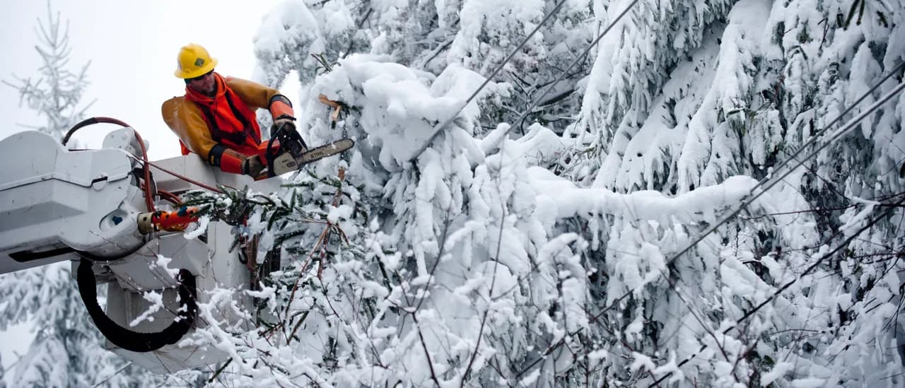 West Virginia, Maryland Hit With Blizzard Warnings Ahead Of Massive Winter Storm