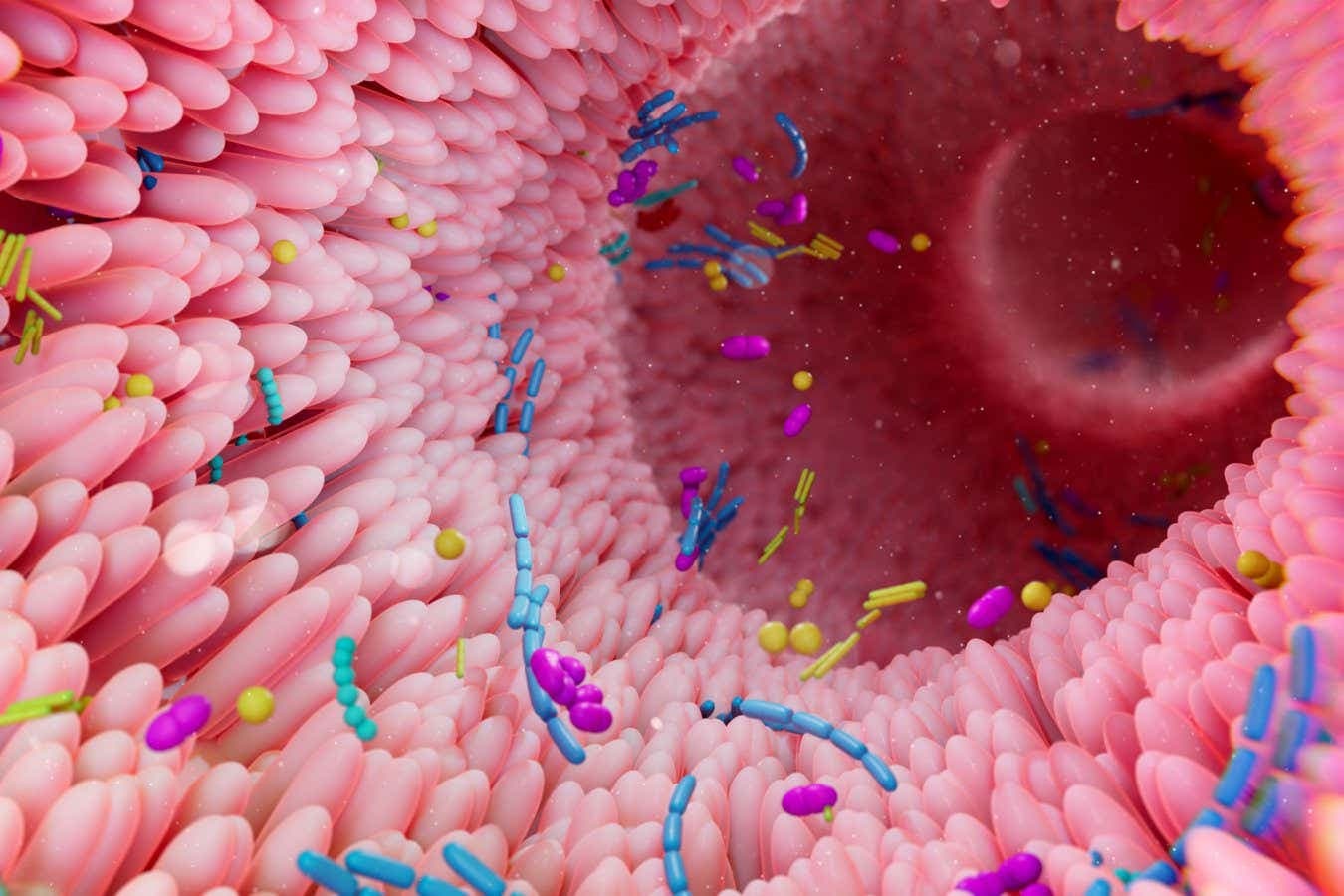 We may finally know what a healthy gut microbiome looks like
