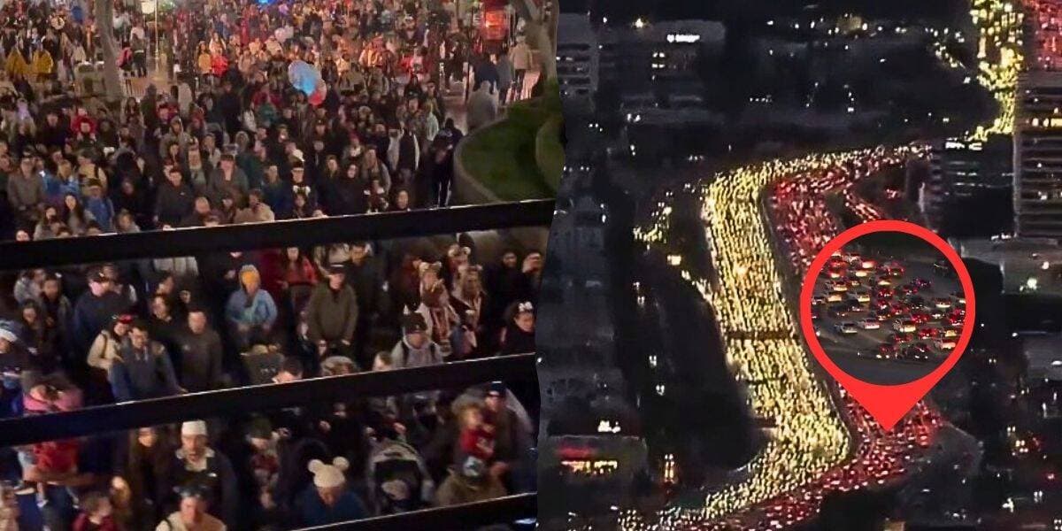 Holiday Travel Surges to 73 Million—Flood of Guests Bring Disney Resort Operations to Its Knees