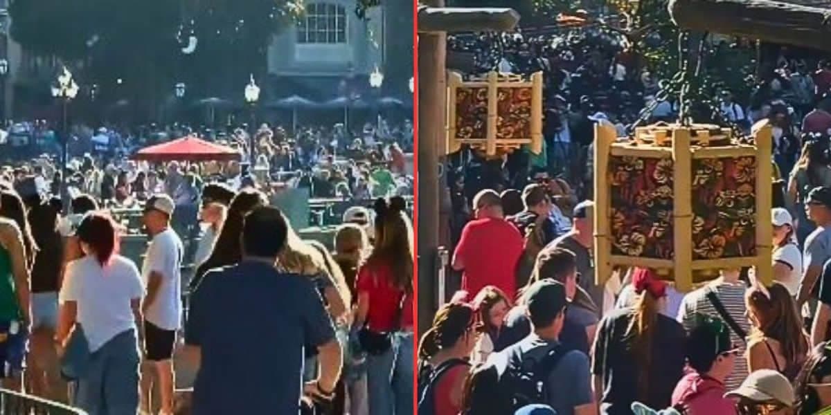 Disney World Drowns in a Human Tidal Wave as ‘Quiet Season’ Flatlines Overnight