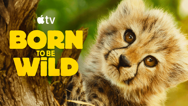 Apple TV debuts trailer for ‘Born to be Wild’