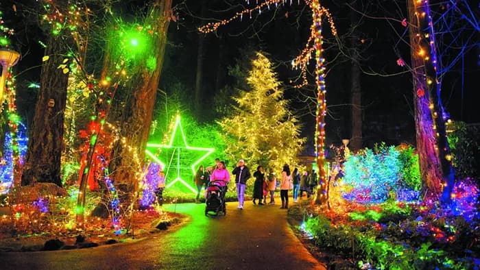 The Mercury’s Do This, Do That: Your Top Events for December 1-7