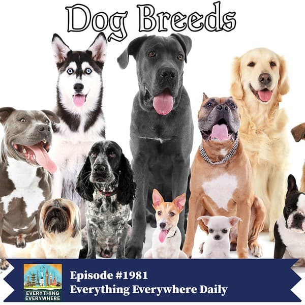 All About Dog Breeds