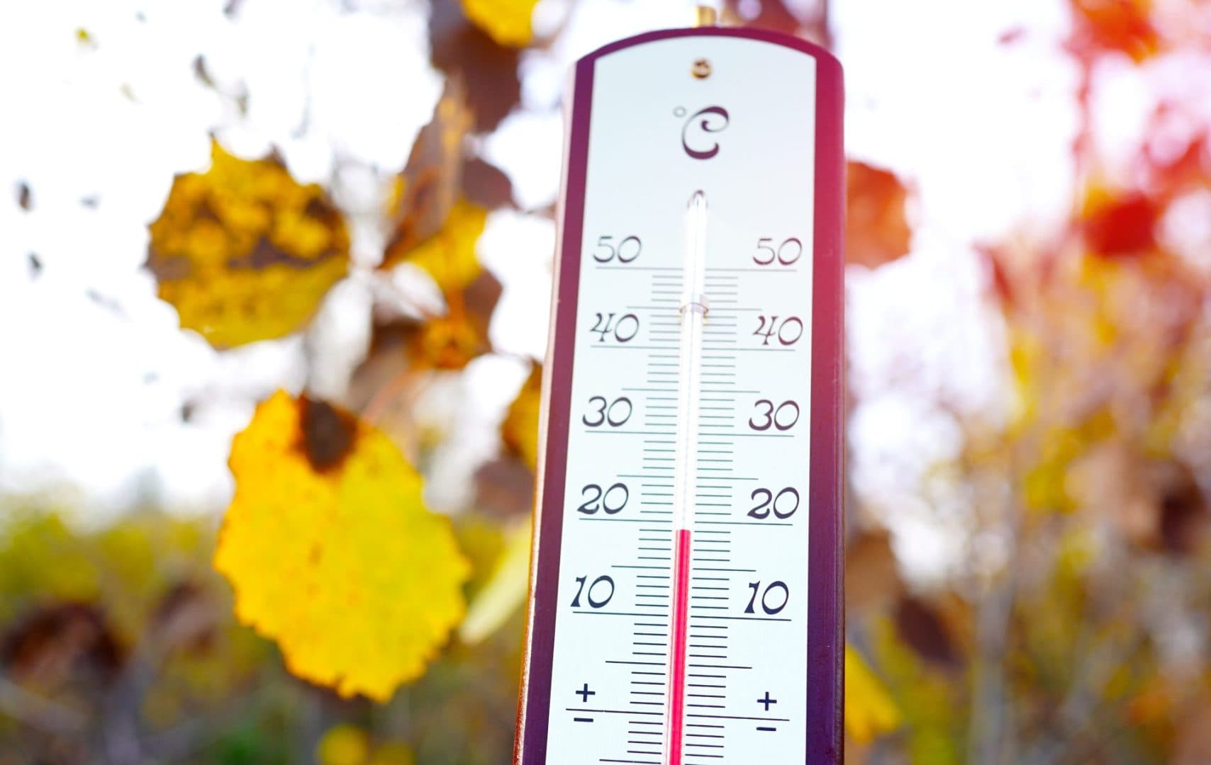 19 million face brutal snowstorm and 60 mph winds