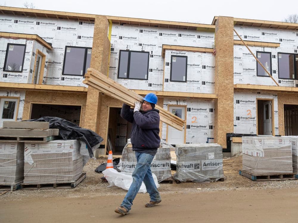 Opinion: Affordable homes require less immigration, not a new housing industry