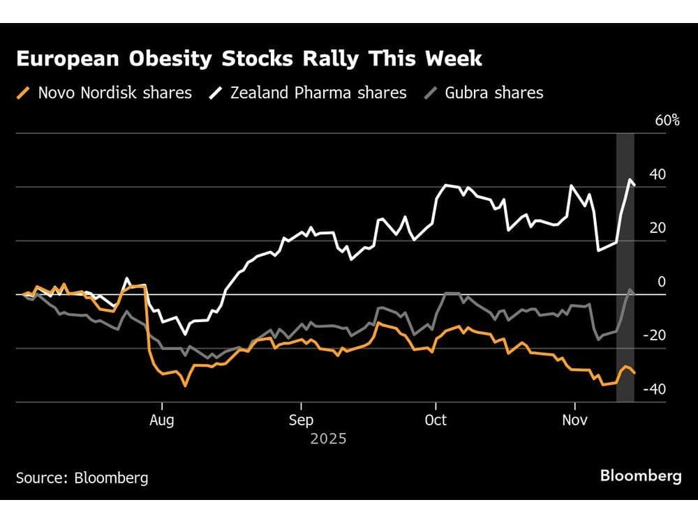 European Obesity Stocks Join Healthcare Rally as AI Trade Ebbs