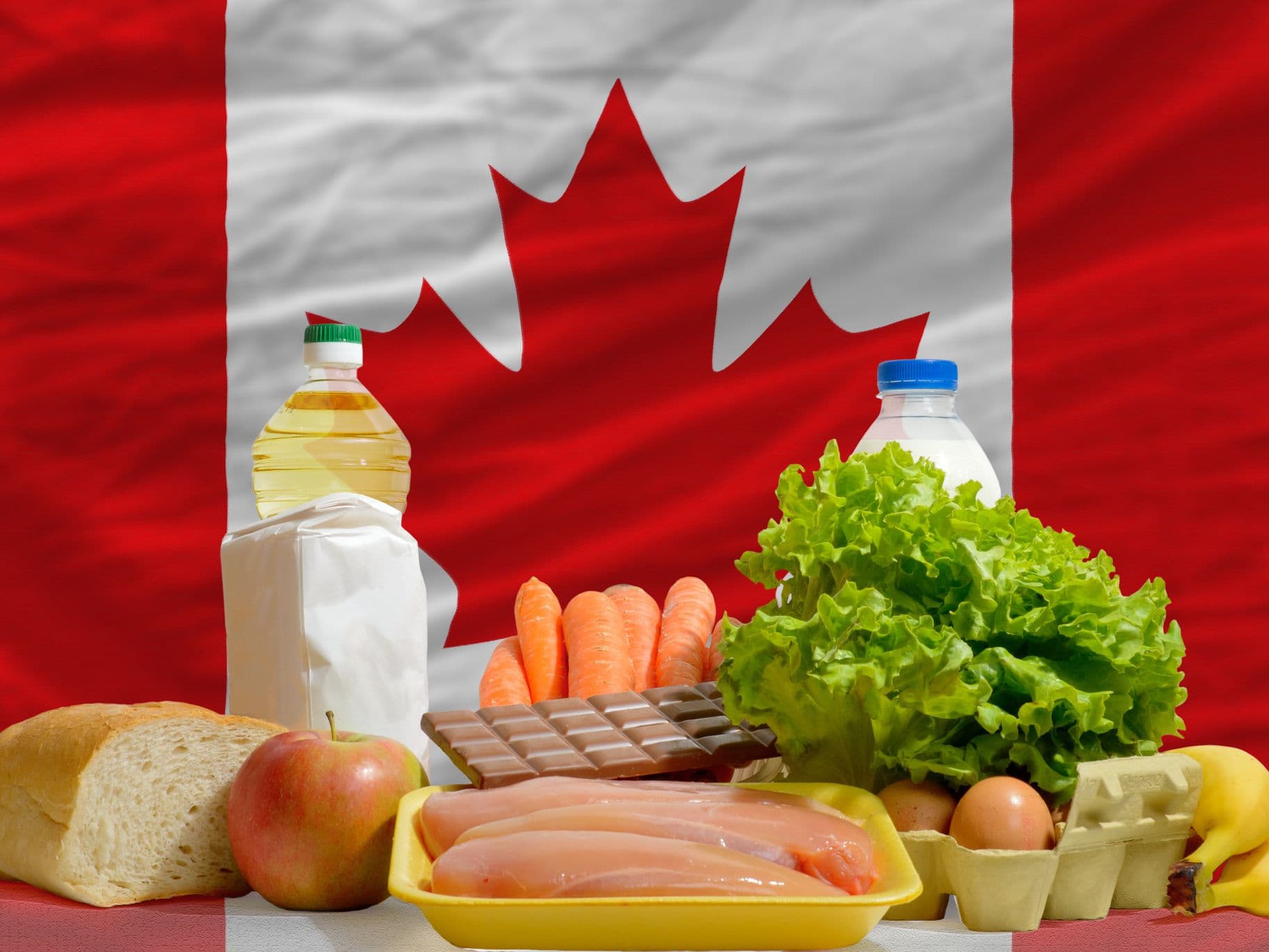 Gwyn Morgan: Canadians should thank Trump for targeting supply management