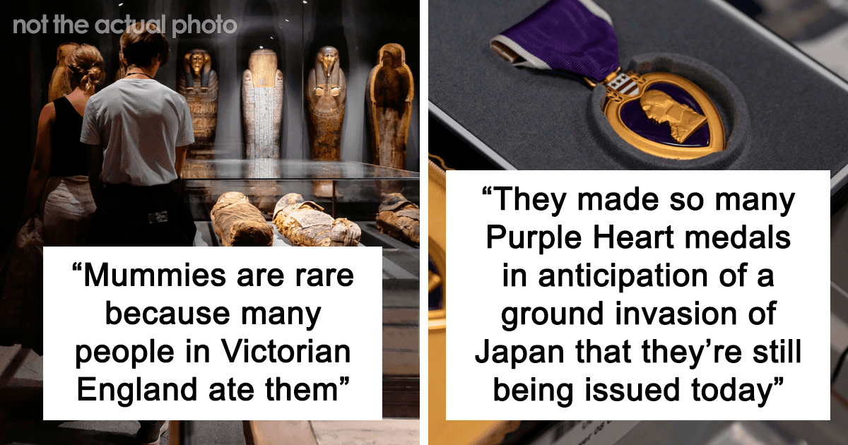40 Fun Facts So Odd You Might Want To Tell Everyone Immediately