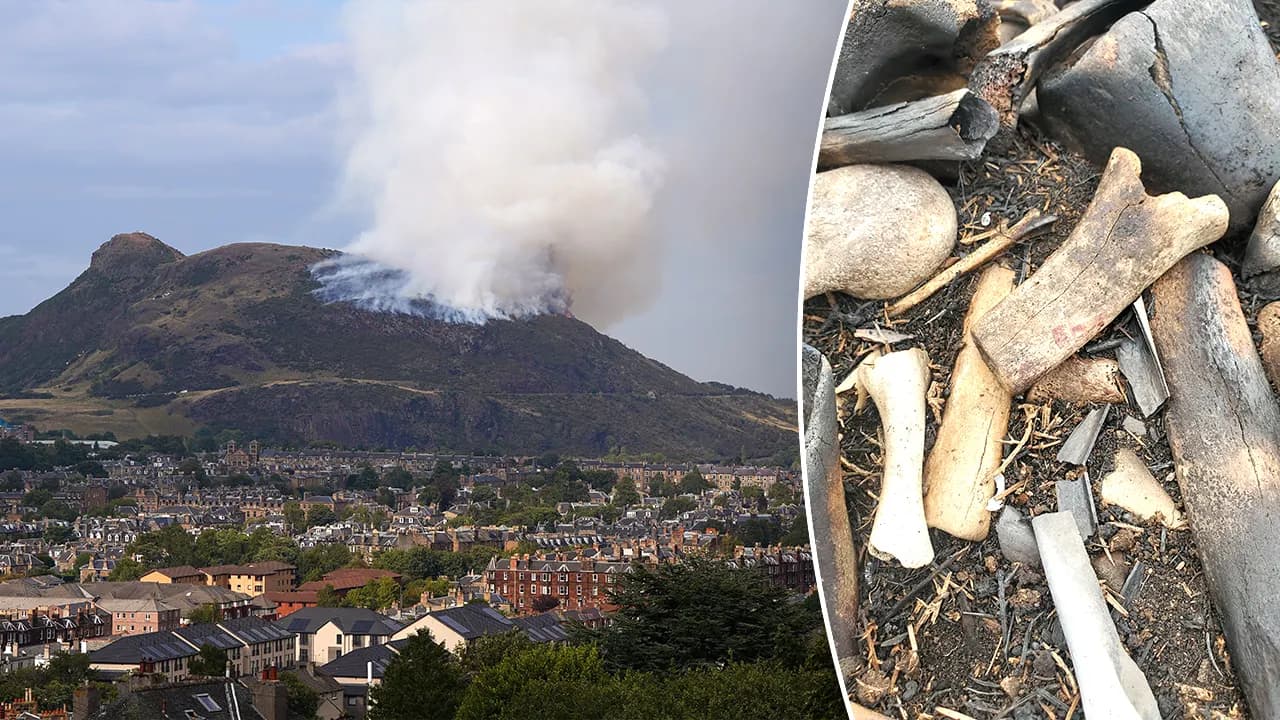 Mysterious pile of bones discovered near popular landmark triggers urgent investigation