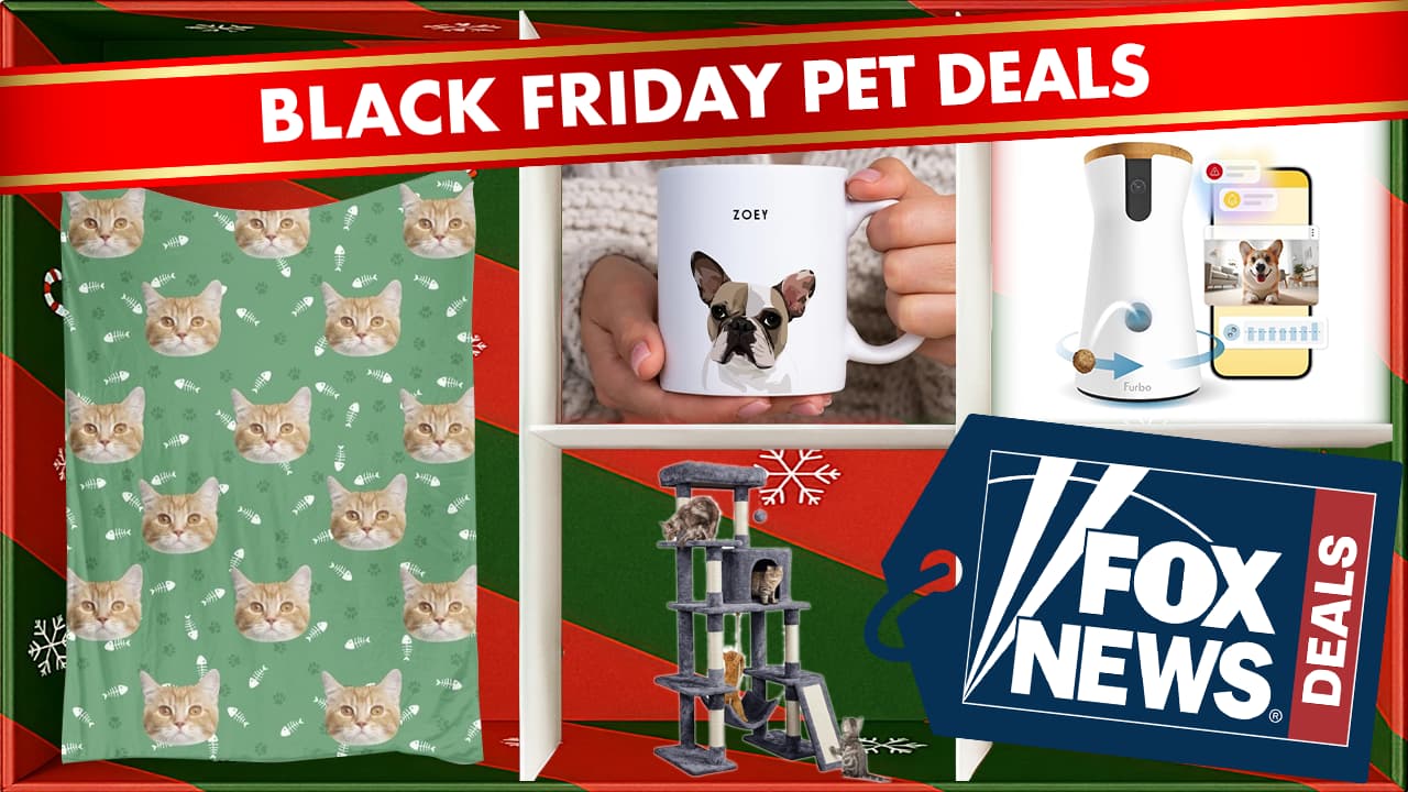 Pet owners (and their furry friends) will love these Black Friday deals – litter boxes, cute mugs and more