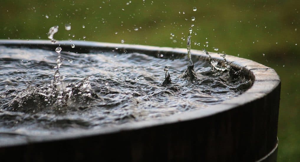 Editors’ Prepping Progress