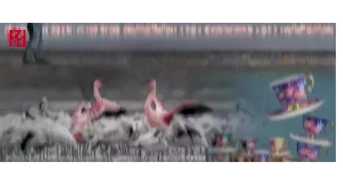 Fifth Annual Understanding China: “China in the Eyes of the Young” International Short Video Screening and Award Ceremony Successfully Held in Guangzhou