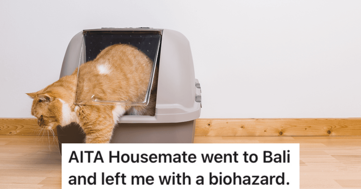 Roommate Agreed To Cat Sit For His Landlord While He Was On Vacation, But He Didn’t Expect The Litter Box To Have Bugs In It
