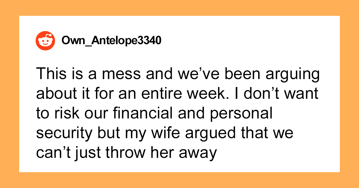 “AITA For Telling My Wife We Can Adopt Her Nephews But Not Her Niece?”: Family Chaos Erupts Over Troubled Kids