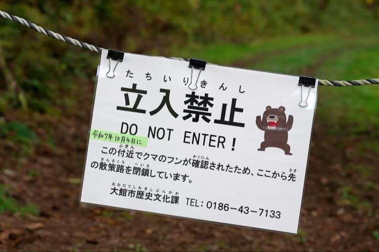 Japan town retracts latest AI bear image