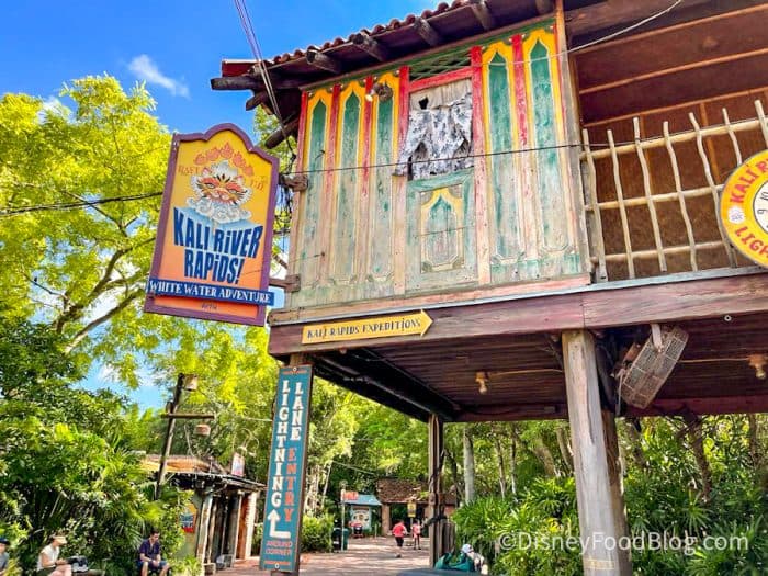 DATE ANNOUNCED for Reopening of Kali River Rapids at Animal Kingdom