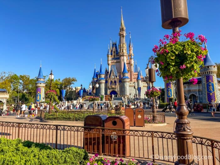 Disney Fans Are Losing $250 Per Night If They’re Not Reading This Email