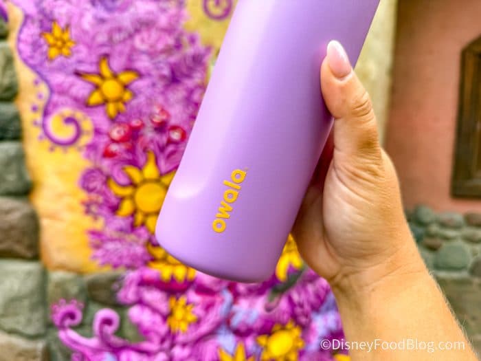 The One Water Bottle EVERY Disney World Guest Is Carrying Right Now