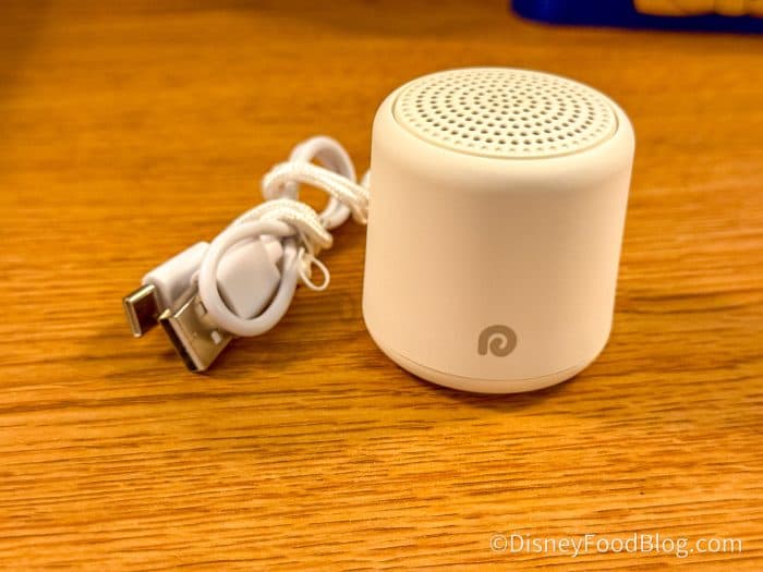 What Is the Dreamegg and Why Is Everyone Buying It For Disney World?