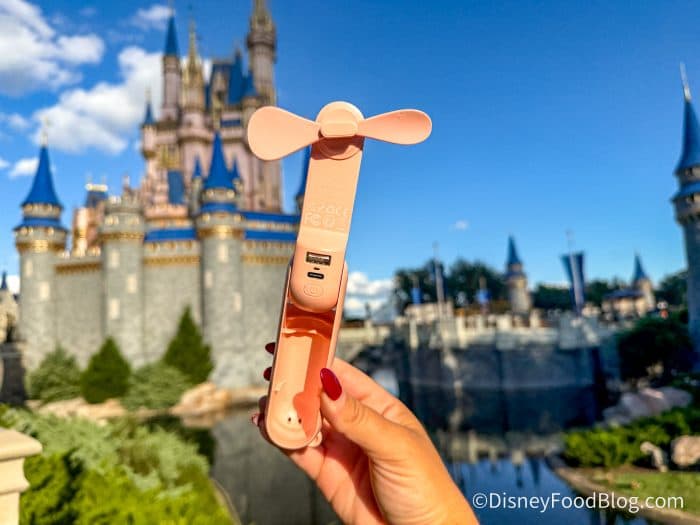 6 New Things You Desperately Need in Your Disney World Park Bag