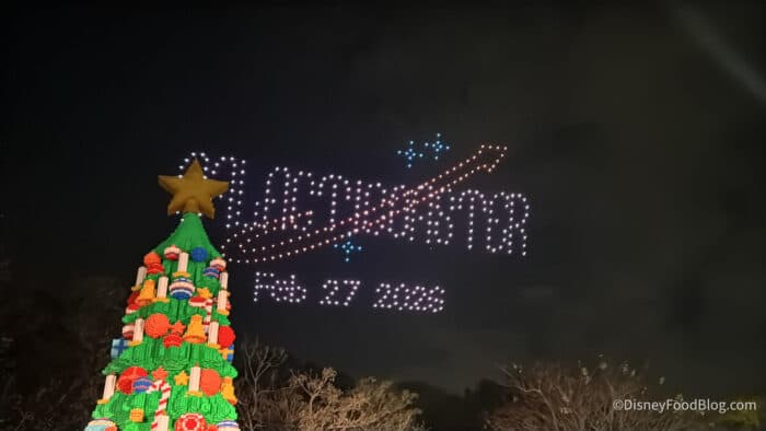 NEWS: Opening Date Announced for NEW Florida Roller Coaster