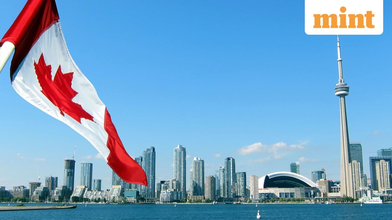 Dreams on hold: Inside the struggles of entrepreneurs held hostage by Canada’s start-up visa programme