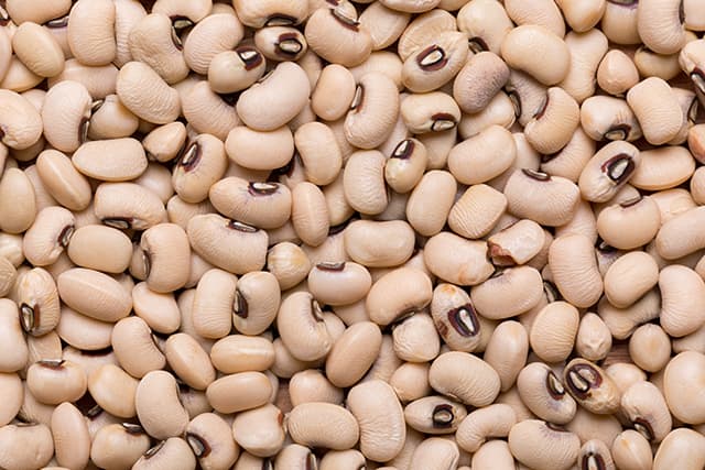Navy beans: Why you should eat more of this nutritious legume