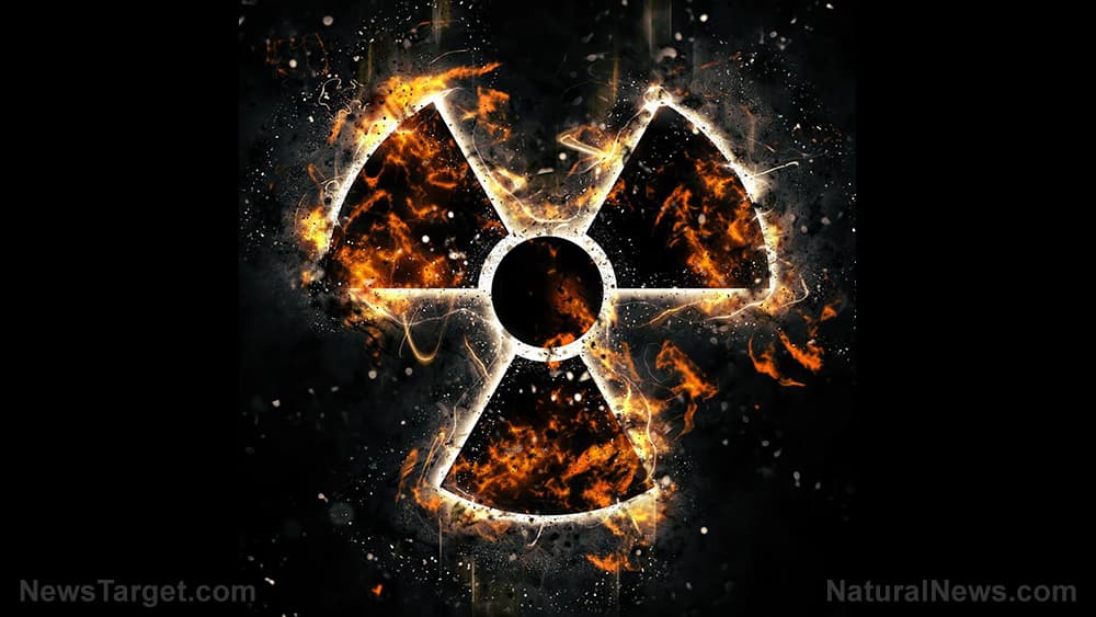 Radiation-metabolizing Chernobyl fungus could shield astronauts on deep-space missions