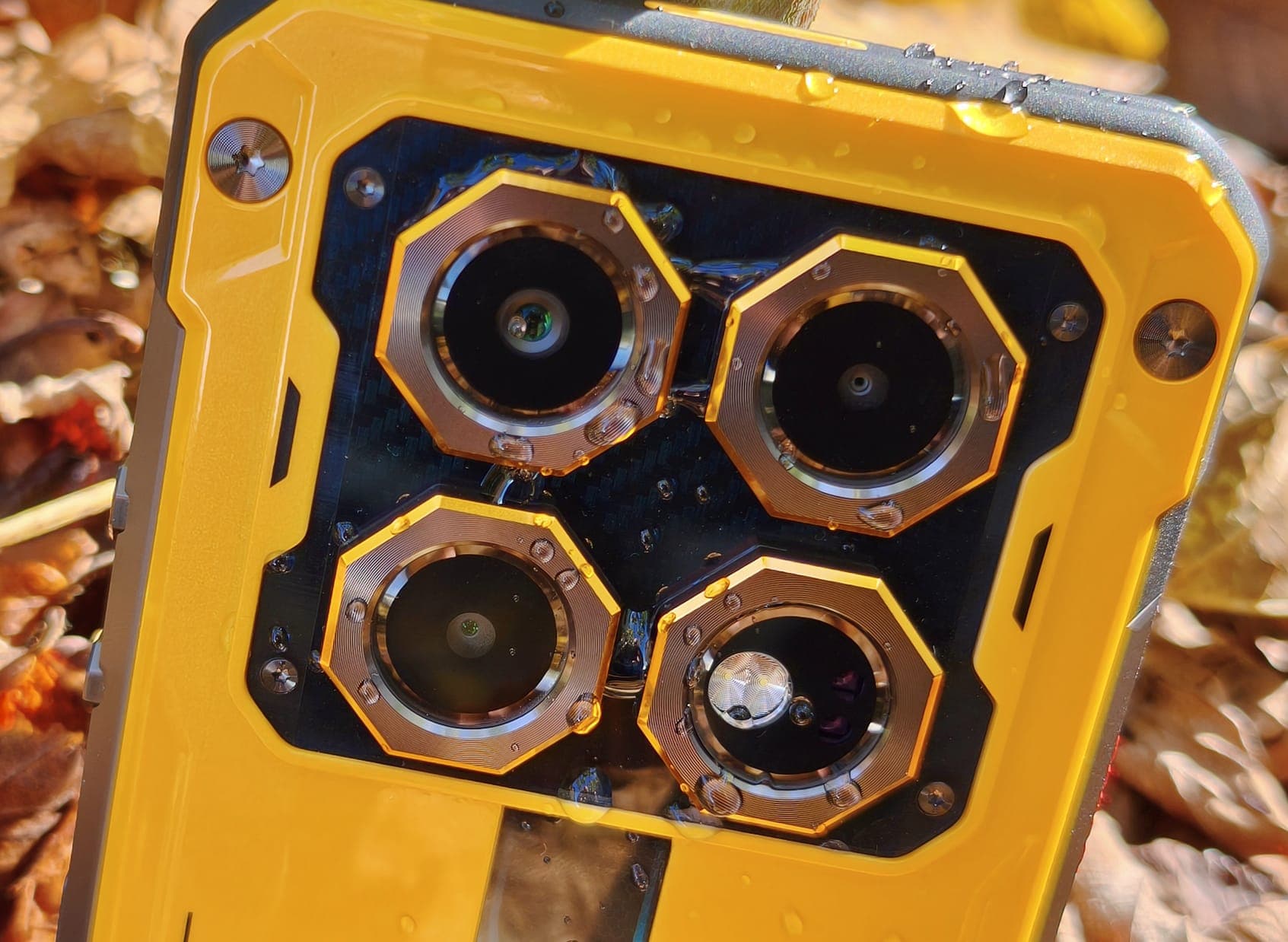 Photos in complete darkness: Innovative camera technology shows what it's capable of