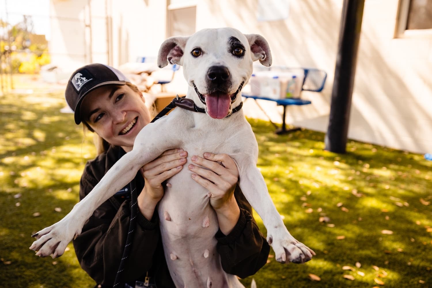 Orange County Animal Services pushes to revise 20-year-old pet policies - Orlando Weekly