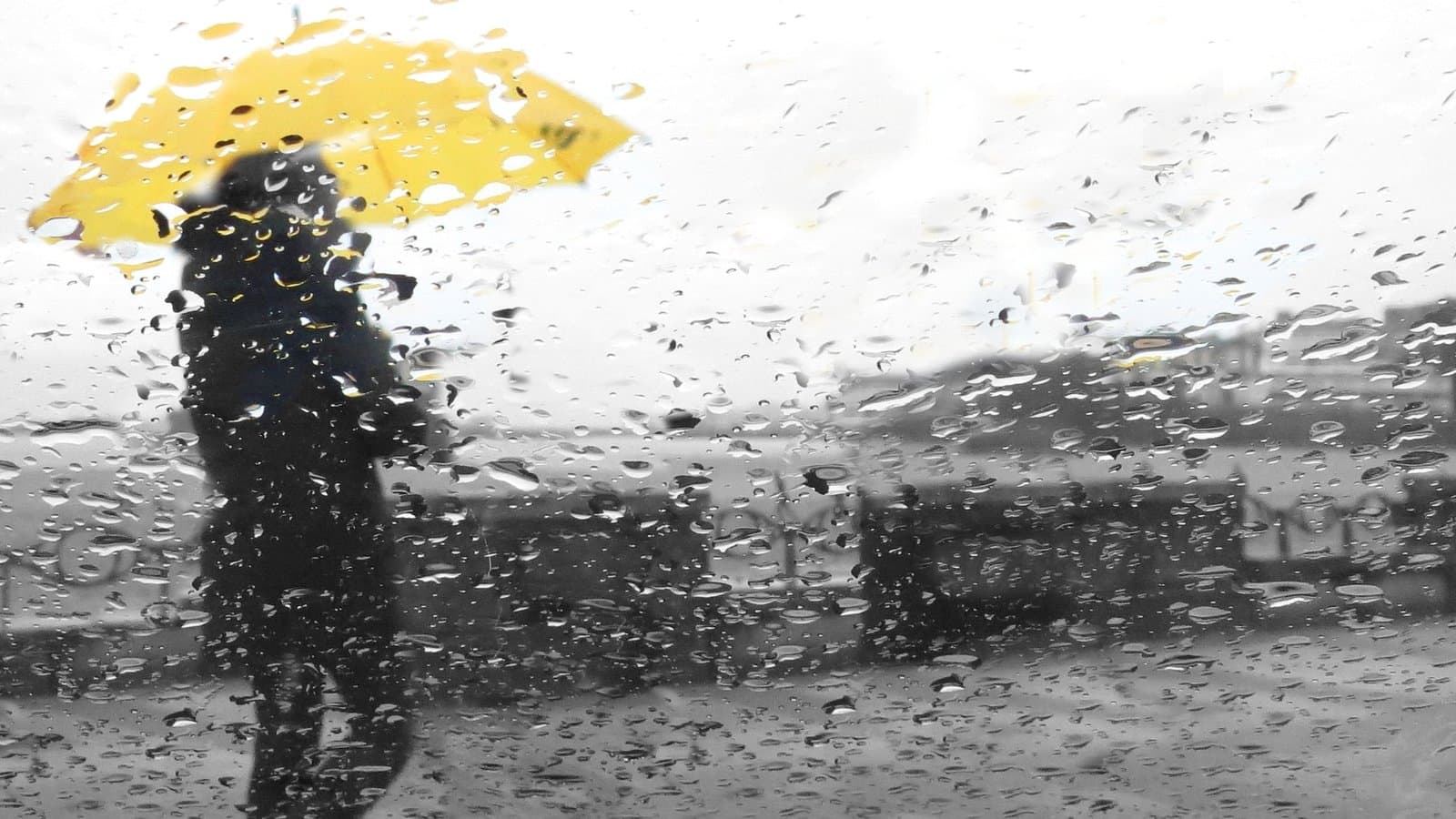 'Significant' rain expected amid orange, yellow warnings