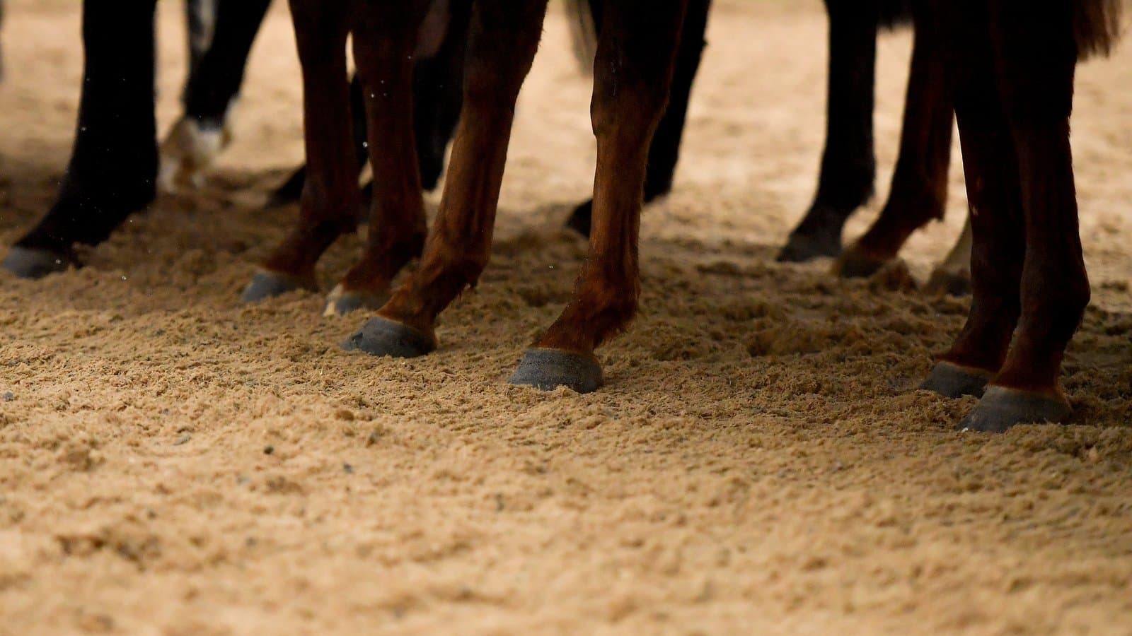 Green light for all-weather track at Tipperary