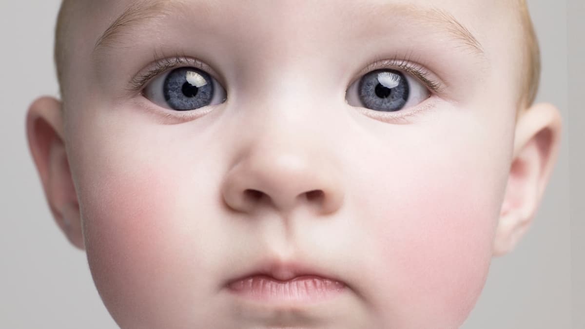 The Roots of Dementia Trace Back All The Way to Childhood, Experts Find