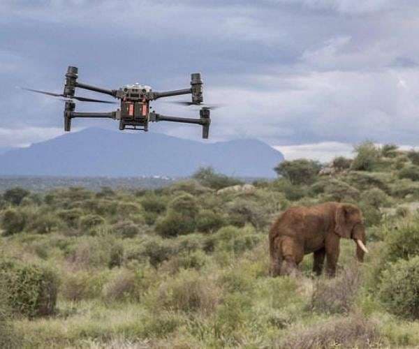 Elephants adapt to drones for conservation in Kenya