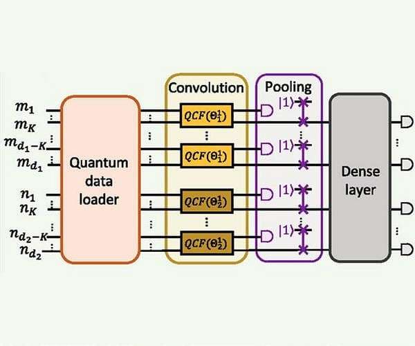 Adaptive photonic circuits enable quantum neural network breakthroughs