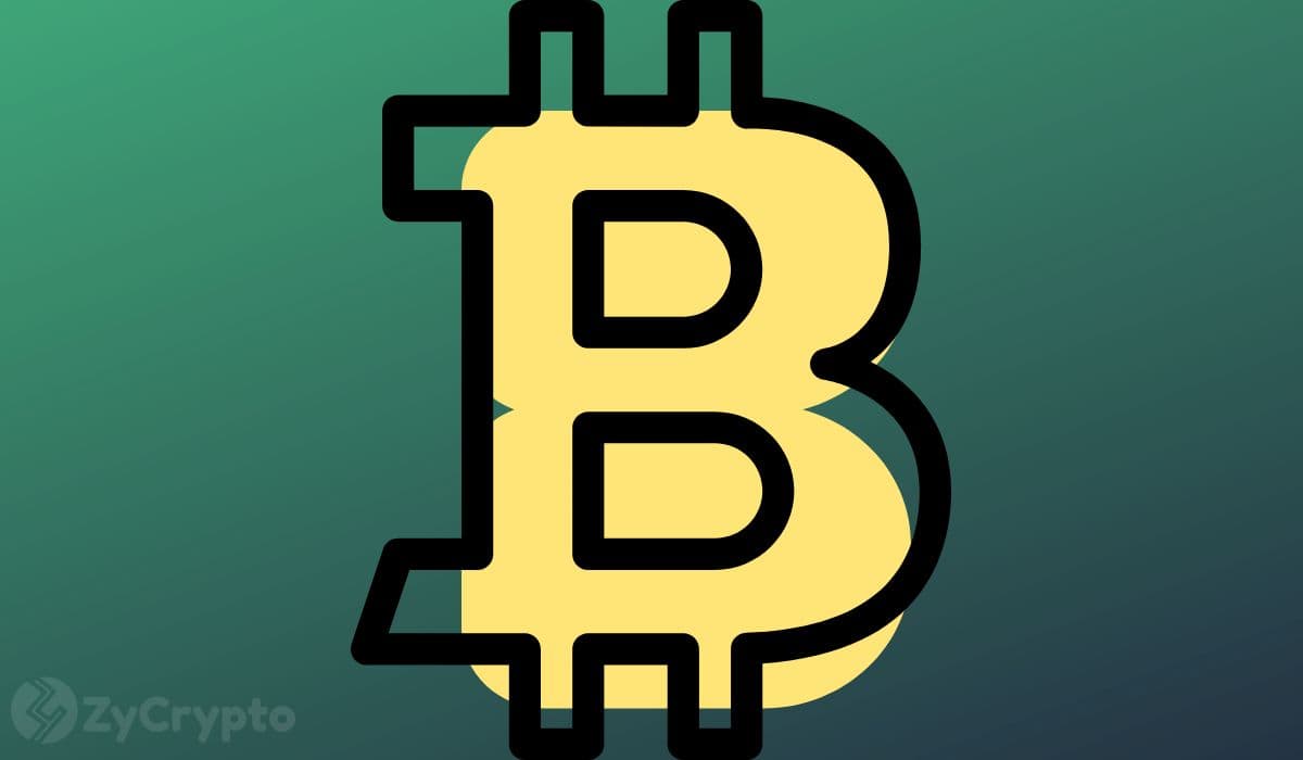 Harvard University Triples Its Bitcoin Exposure Amid Market Turmoil, Signaling Long-Term Institutional Confidence